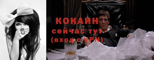 крисы Сосновоборск