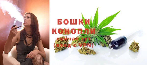 гидропоника Белоозёрский