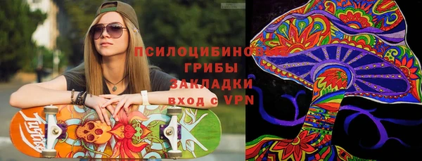 СК Белокуриха